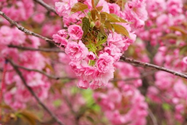湖州安吉1线下个人借款平台一站式服务，轻松解决资金难题