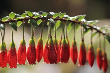 湖州安吉1零用贷短借：轻松解决临时资金需求